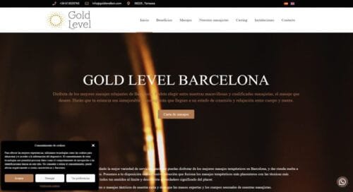 proyectos web realizados