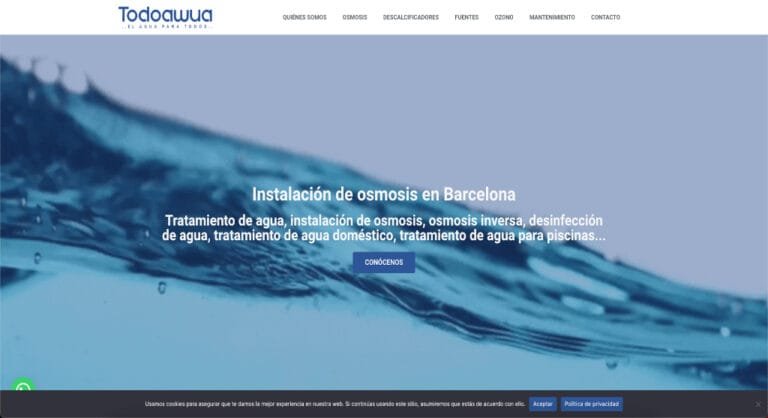 proyectos web realizados