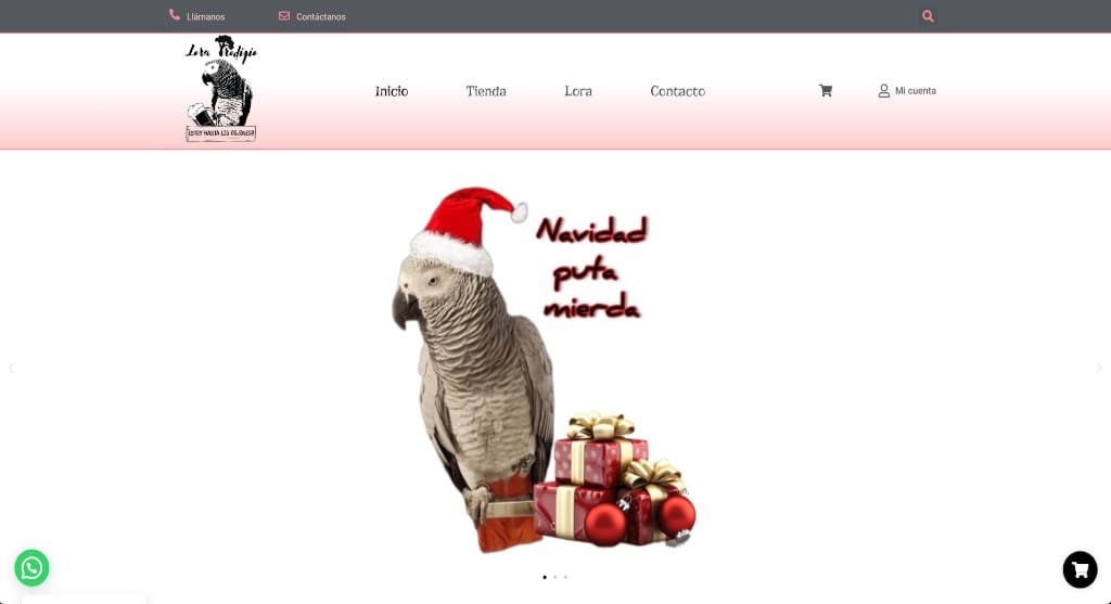 proyectos web realizados