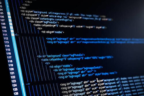 desarrollador de paginas web